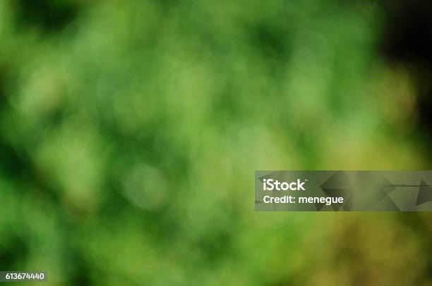 Green Defocus Stock Photo - Download Image Now - Backgrounds, Bright, Brightly Lit