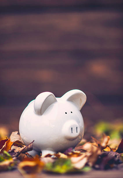 istock Piggy bank standing in fall leaves. Fall savings concept 613674442