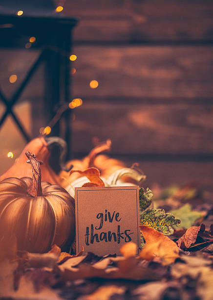 istock Luxe still life arrangement for Thanksgiving or Halloween. Fall holidays 613674650