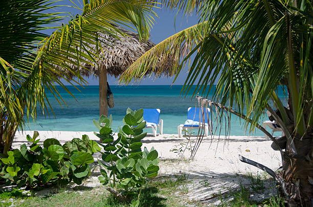 istock Palms, beach chairs and palm leaf umbrellas on beautiful Cocobay 613675240