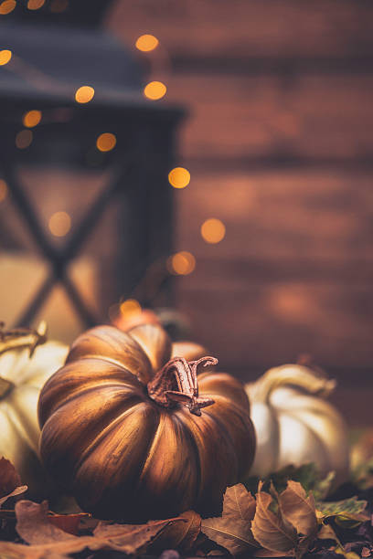 istock Luxe still life arrangement for Thanksgiving or Halloween. Fall holidays 613675290