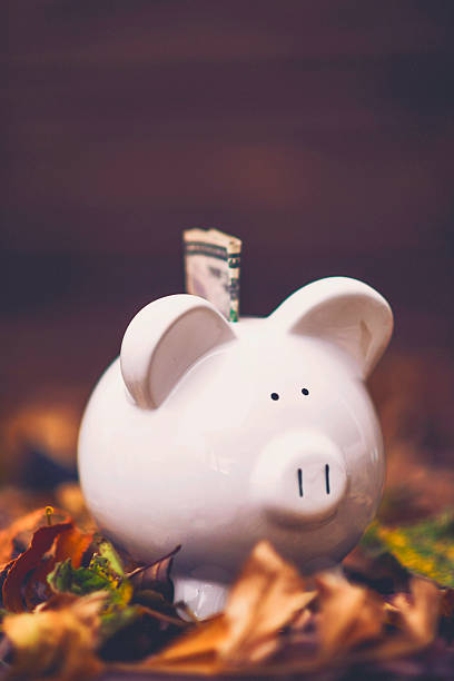 istock Piggy bank standing in fall leaves. Fall savings concept 613675634