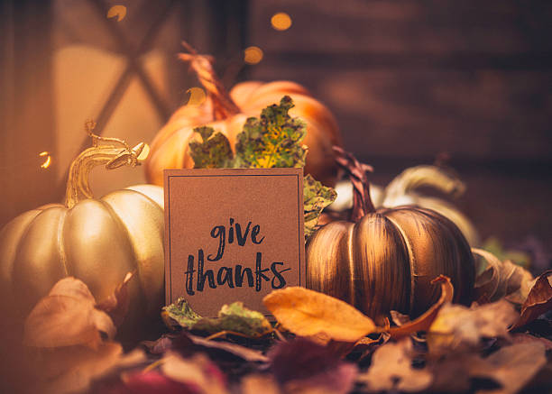 istock Luxe still life arrangement for Thanksgiving or Halloween. Fall holidays 613675666