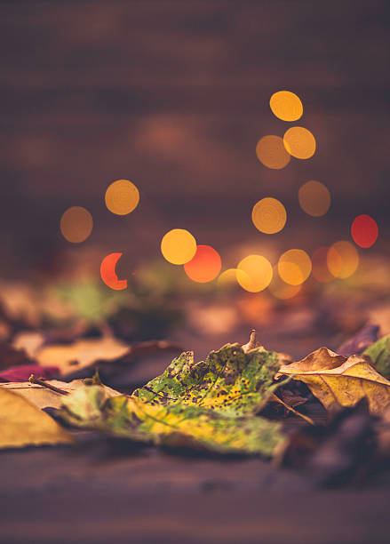 Fall background for Thankgiving with leaves and bokeh