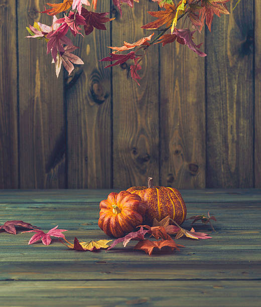 istock Fall backgrounds. Rustic still life with pumpkins, leaves and wood 613675704