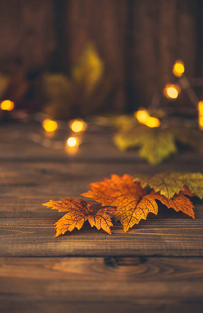 istock Fall backgrounds. Rustic still life with leaves and bokeh 613675774