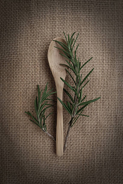 istock rosemary on Fabric background 613675826