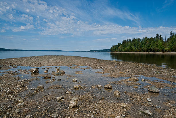istock Low Tide on Puget Sound 613676464