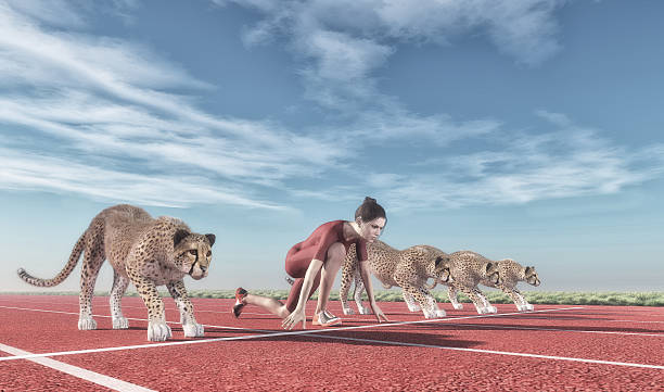 istock Athletic woman with a cheetah 613676526