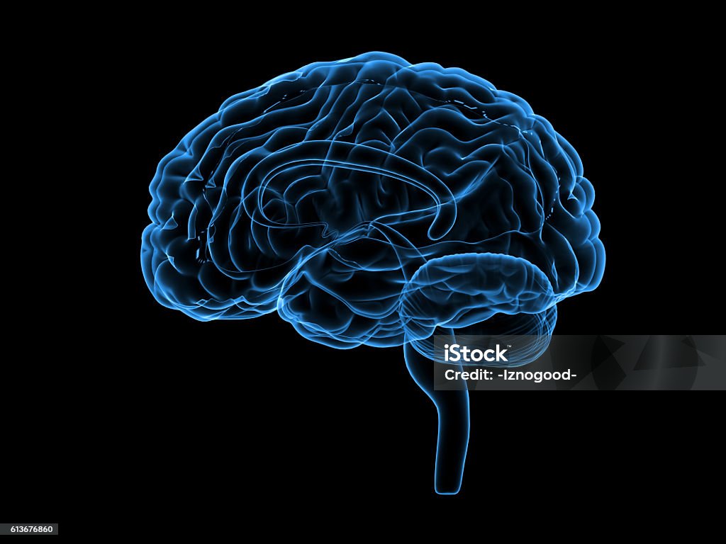 X-ray human brain, 3d illustration Medical Scan Stock Photo