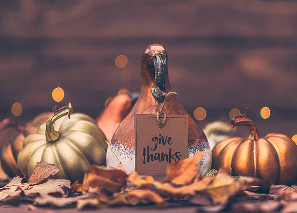 istock Luxe still life arrangement for Thanksgiving or Halloween. Fall holidays 613677316