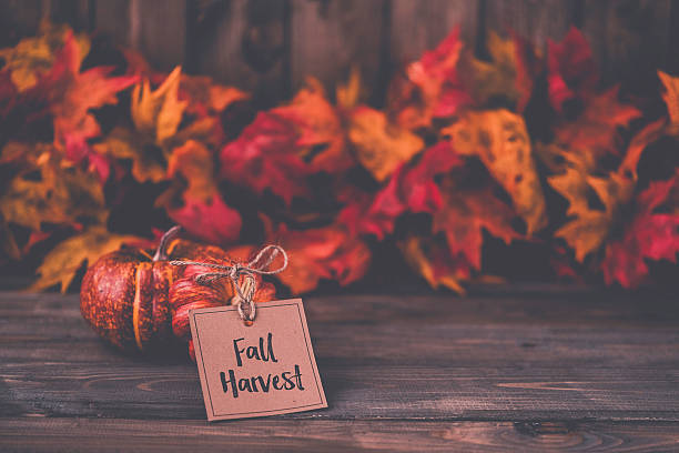 istock Fall leaves background with pumpkins and holiday message 613677430