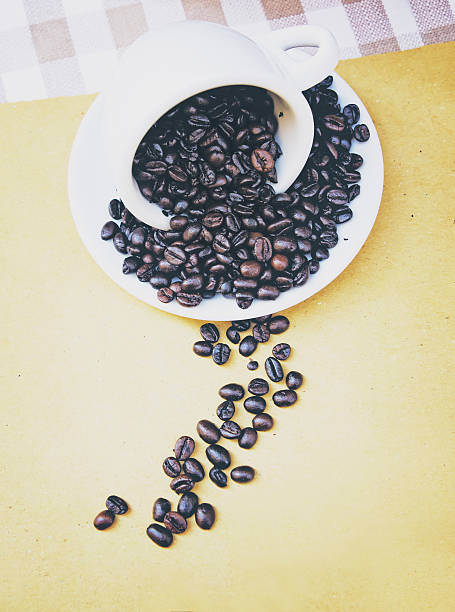 White cup filled with freshly roasted coffee beans with copy space