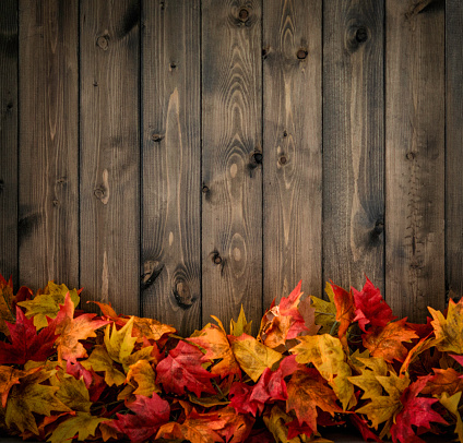 Fall leaves background with copy space for holiday messages