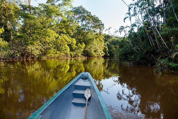 en un barco en la selva amazónica. - ecuador fotografías e imágenes de stock