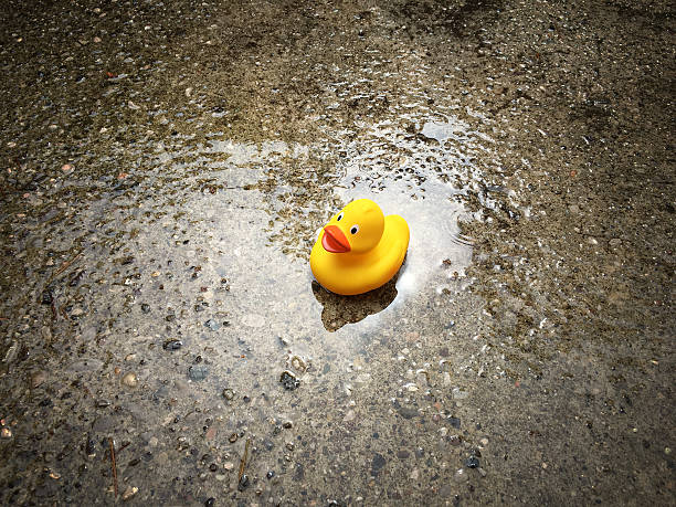 istock Yellow rubber duck in the puddle 613679120