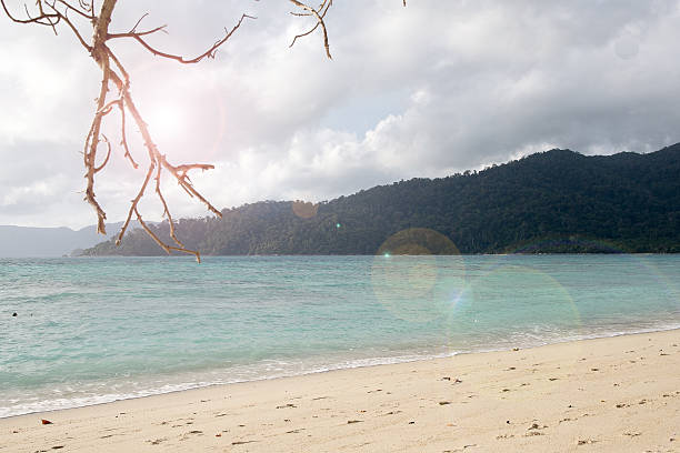 istock , seawater Sai Beach Koh LIPE in Thailand 613680186