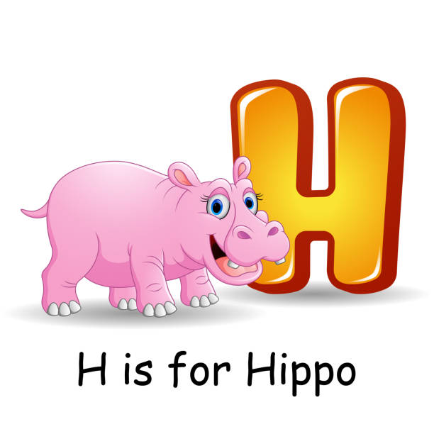 алфавит животных: h для гиппо - letter h alphabet education learning stock illustrations
