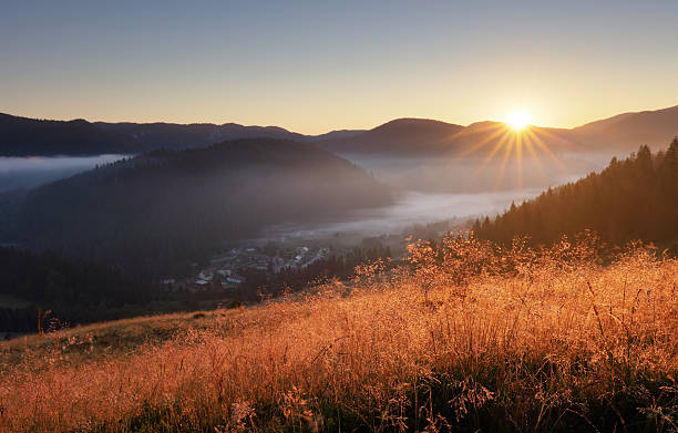 istock Landcape with sun, meadow, forest and mountain. 613682918