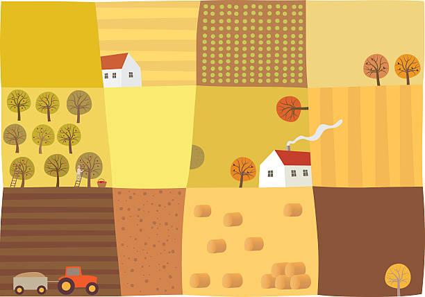 ilustraciones, imágenes clip art, dibujos animados e iconos de stock de temporada de otoño - plowed field field fruit vegetable