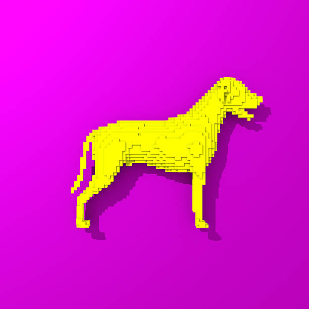 Low poly colorful, pop art style dog illustration
