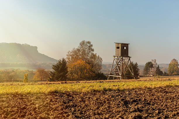 istock bryony for hunters and colorful hills behind 613687384