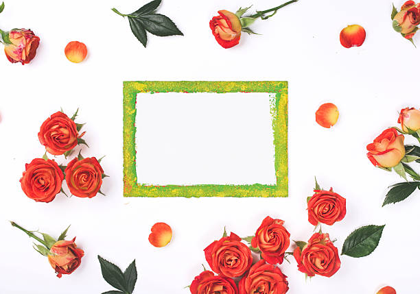 istock Blank card with red roses on white background 613689650