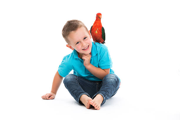 istock little boy with parrot on white 613693440