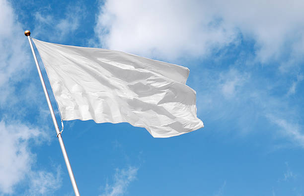 istock White blank flag waving in the wind 613694054