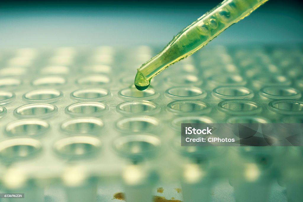 Pipette with a drop of Zika Virus Research Cell Pipette with a drop of Zika Virus Research Cell Culture, Pipette with a drop of Stem Cell Research Medium Pipette Stock Photo