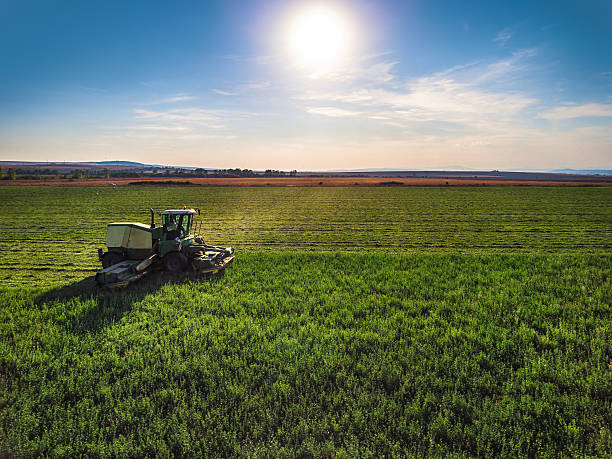 istock Tractor mowing green field 613697050