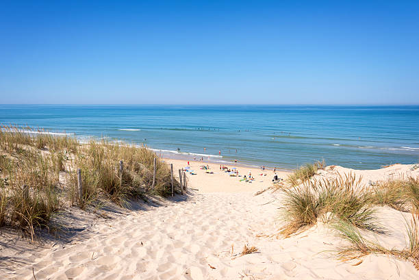 a duna e a praia de lacanau, oceano atlântico, frança - surfing sunlight wave sand - fotografias e filmes do acervo