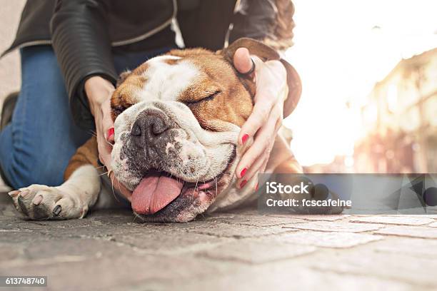 Owner Gently Caressing Her Dog In An Urban Place Stock Photo - Download Image Now - Dog, Gratitude, Embracing