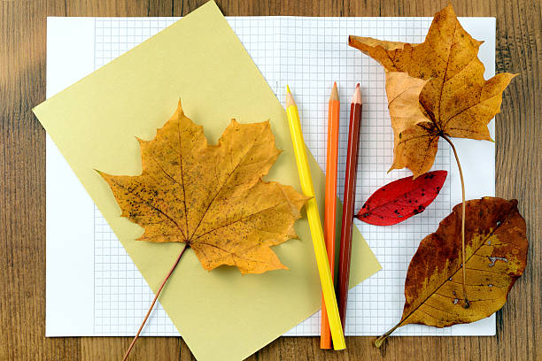 istock tinker with leaves paper and pencil 613748838