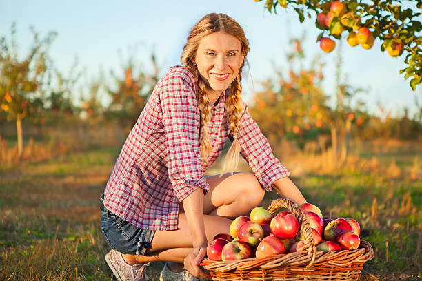 istock Beautiful young woman  in orchard 613749056