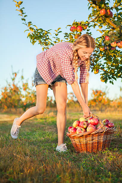 istock Beautiful young woman  in orchard 613749176