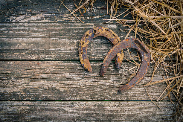 istock The old horseshoe and straw 613749628