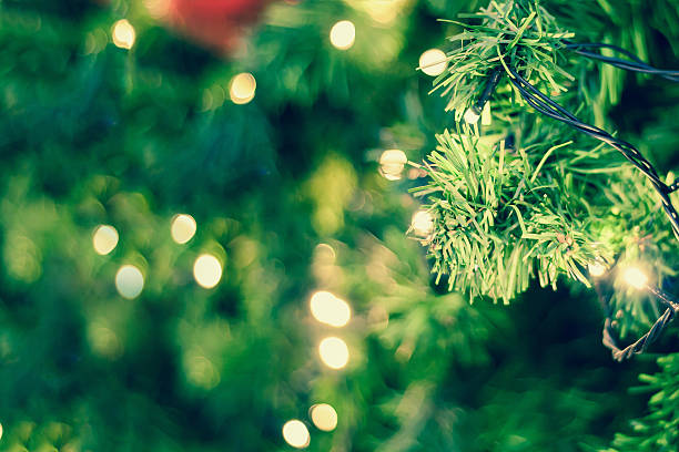 istock christmas lights hanging in Christmas tree 613752940