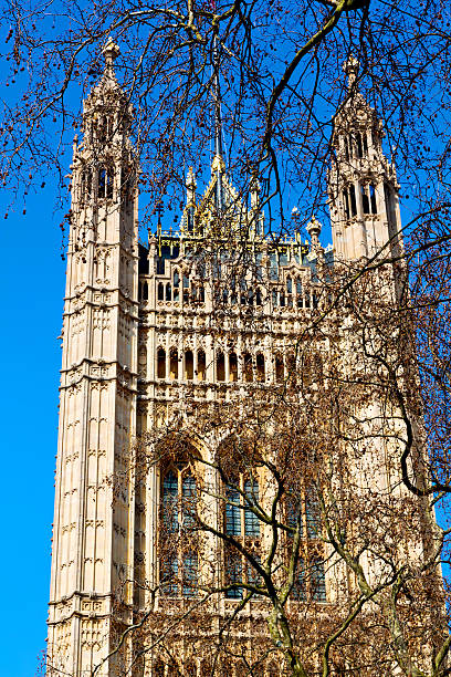 istock in london old    parliament     structure and sky 613754710