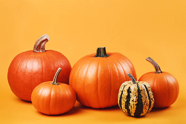 istock Group of pumpkins 613755732