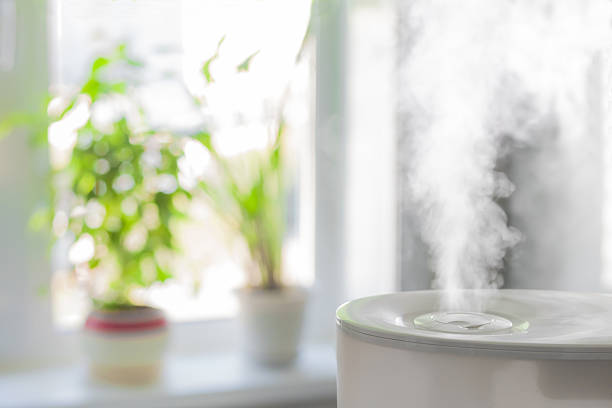 가습기 확산 증기 - humidifier 뉴스 사진 이미지