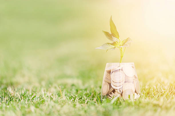 istock Coins and seed in clear glass on on grass 613760960