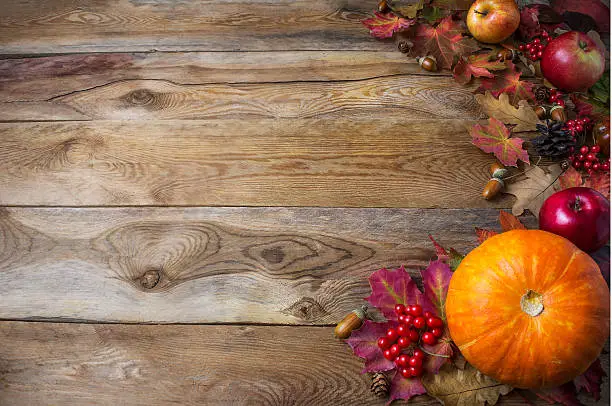 Photo of Thanksgiving  or fall greeting background with pumpkins and fall