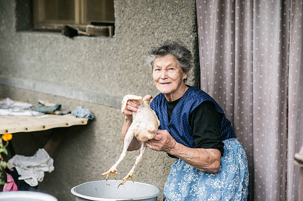 Senior woman cleaning and washing freshly slaughtered chicken.