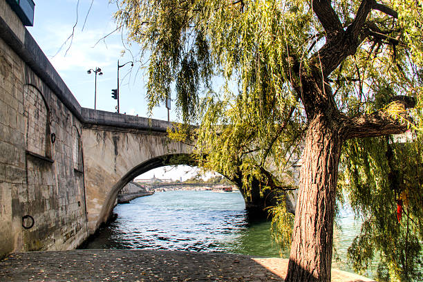 istock View over the Seine river in Paris 613767204
