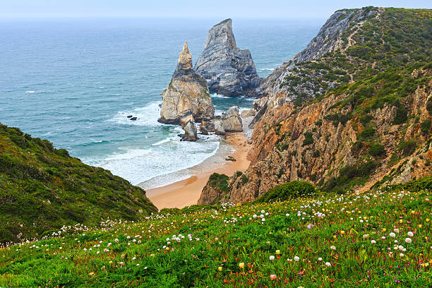 istock Atlantic coast view in cloudy weather, Portugal. 613769098