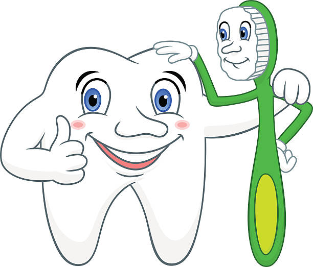 Cartoon Tooth With Toothbrush Stock Illustration - Download Image Now -  Care, Cartoon, Cheerful - iStock