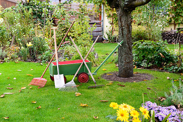 istock Garden - handcart - Gardening 613771868