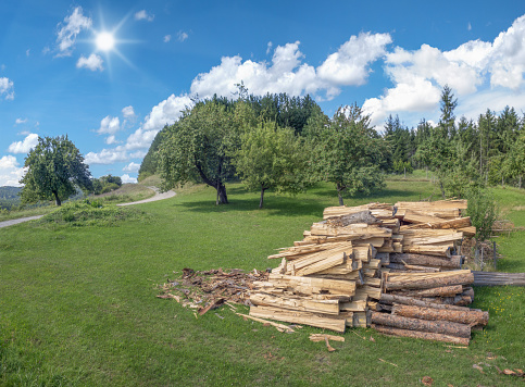 Processed firewood on a meadow in rural landscape with blue and white sky and sun 