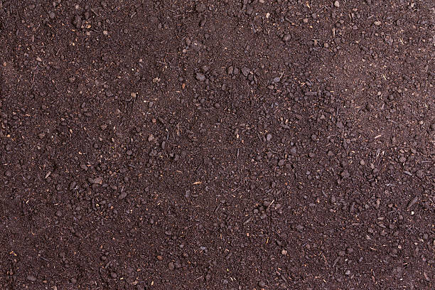 Full frame of bare soil for nature background